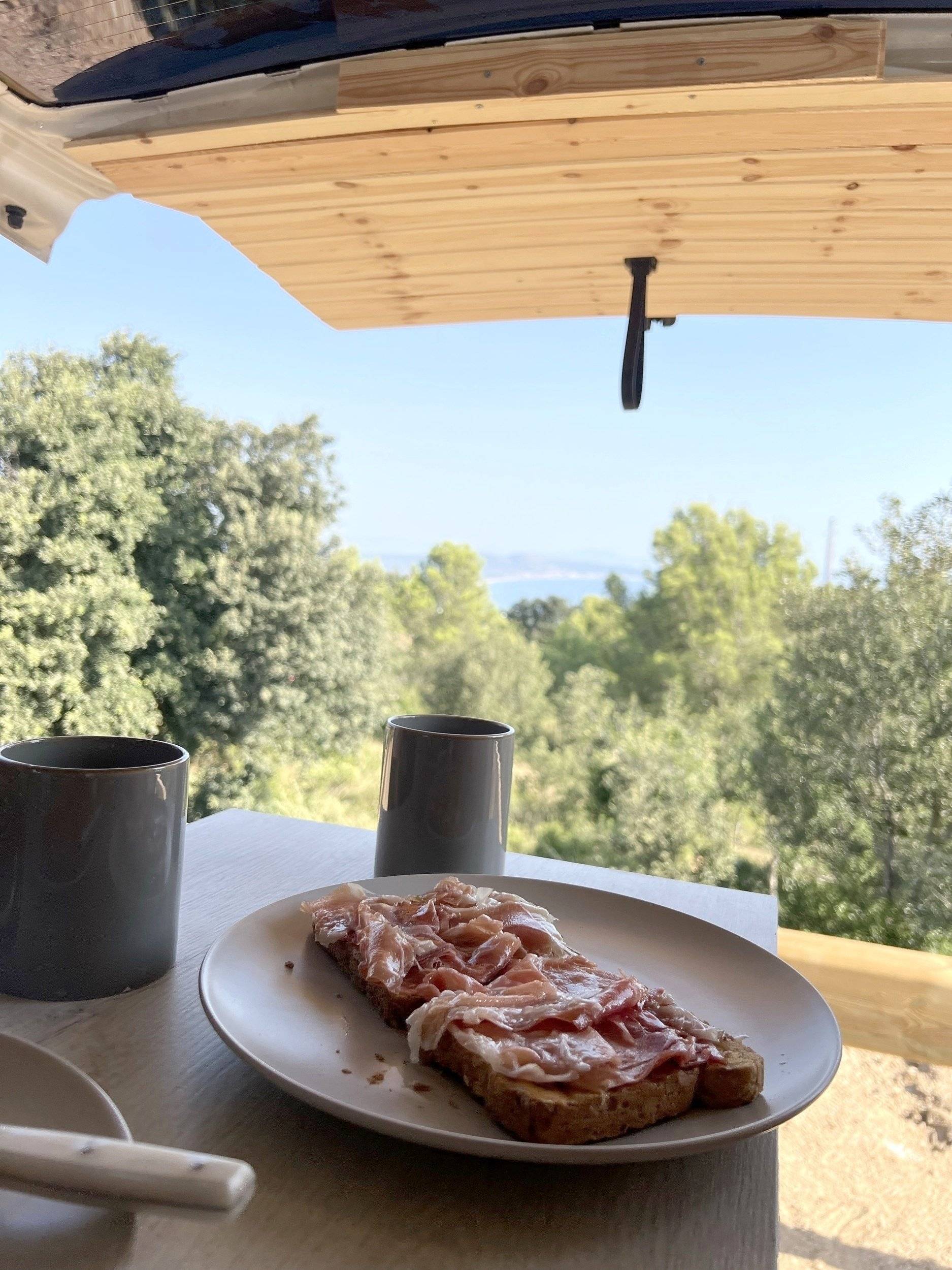 Volkswagen California T5