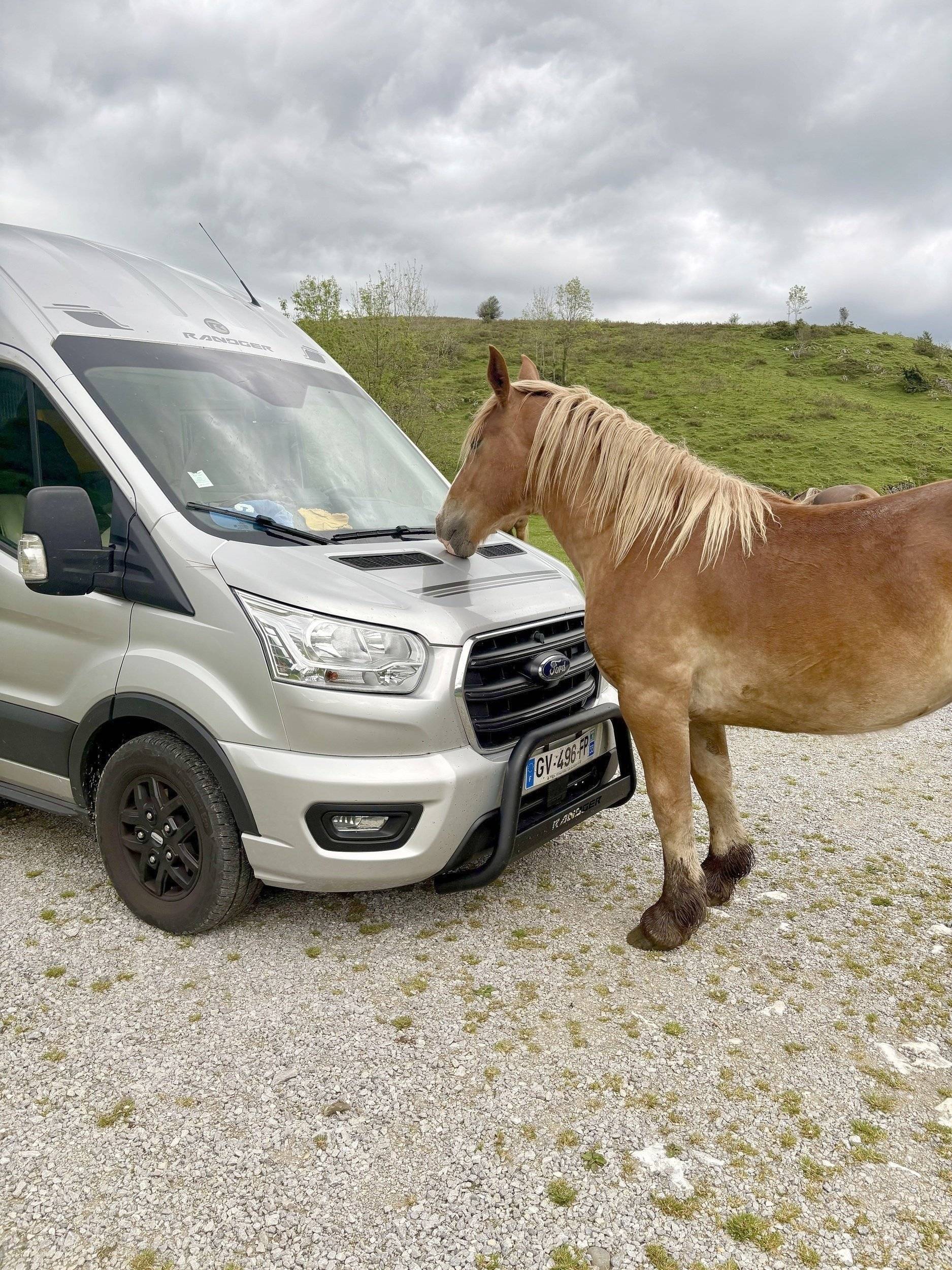 Font Vendôme Font Vendôme forty  