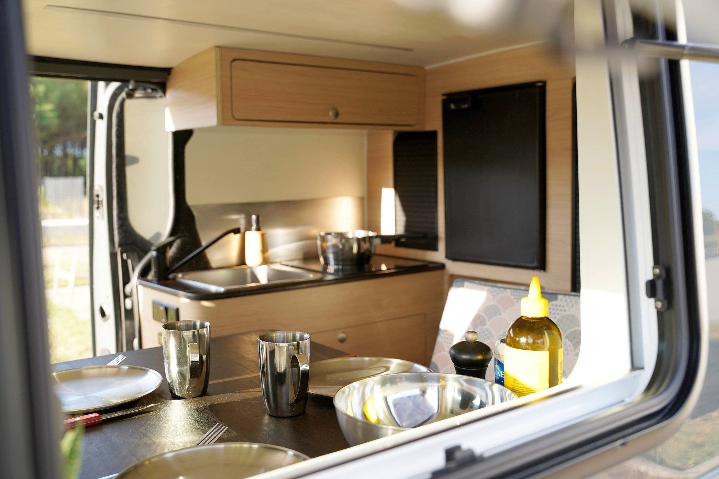 VAN WILD Renault trafic