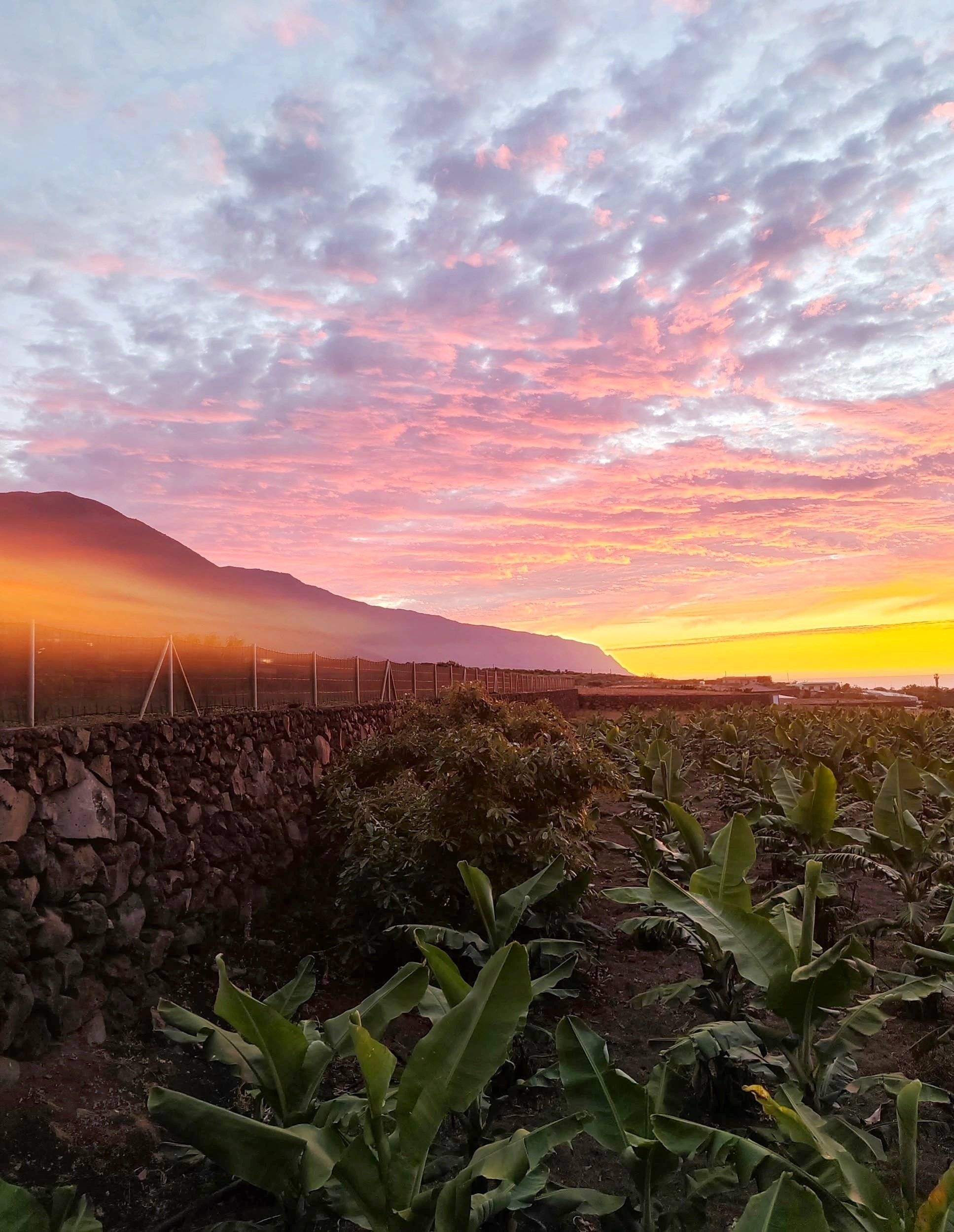 Volkswagen Transporter t4