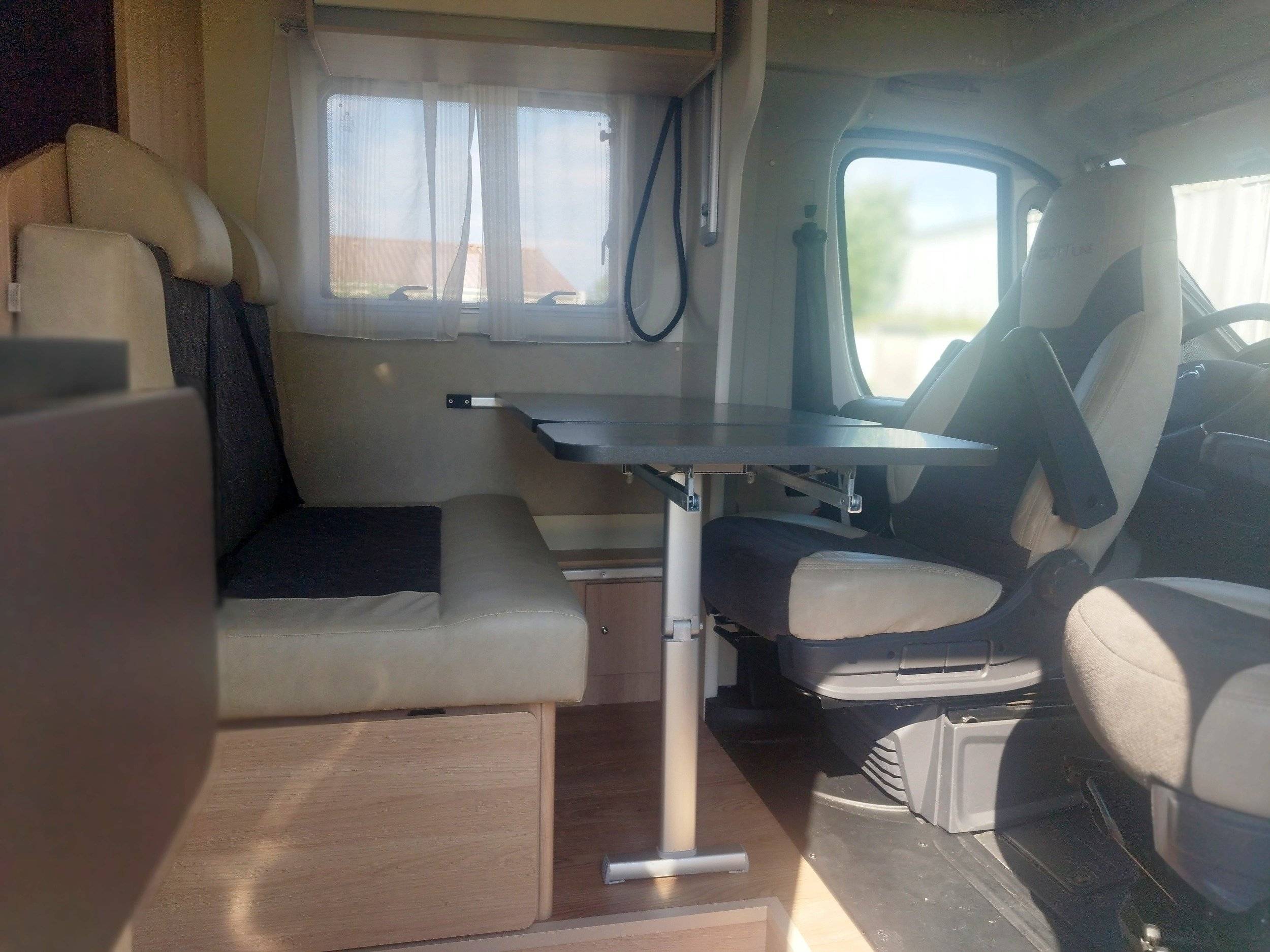 Giottiline  Siena 330