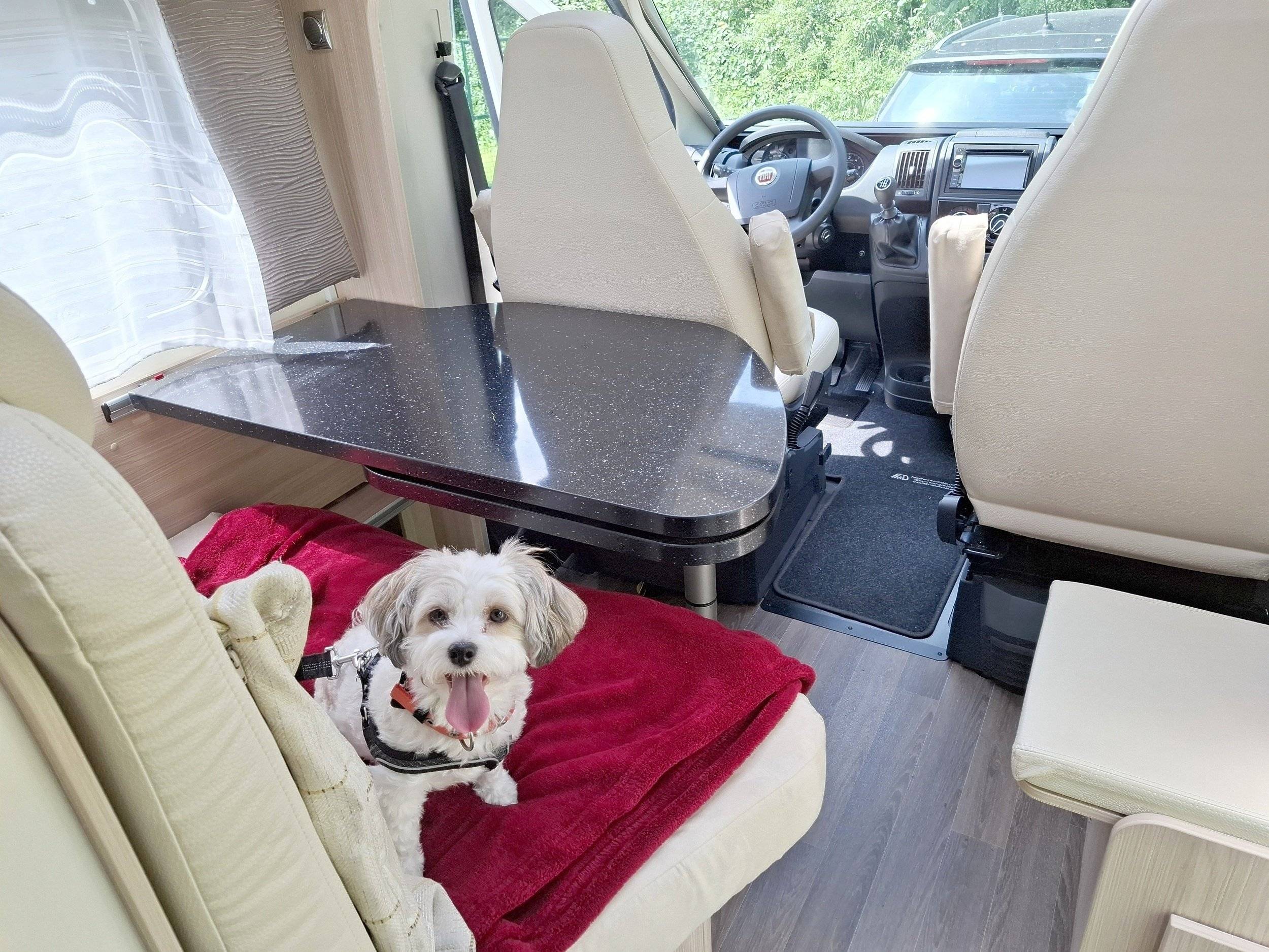 Bürstner Travel Van T690