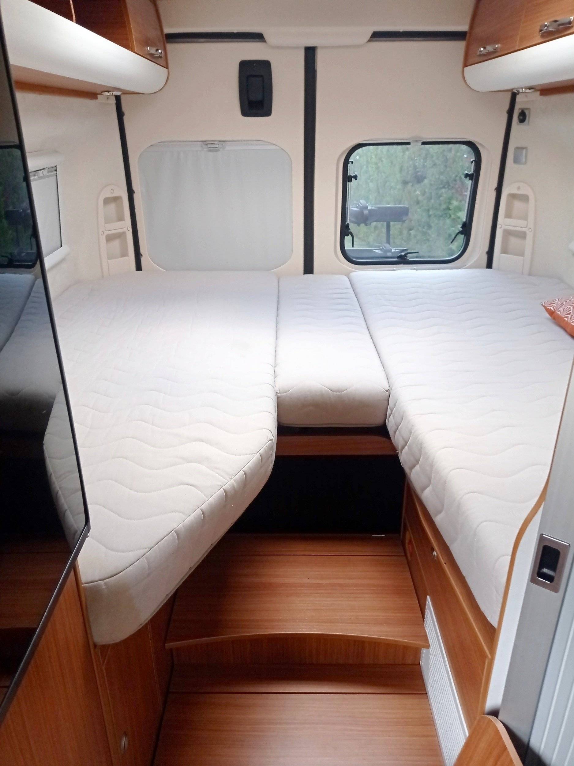 Adria Adria coral   sp660